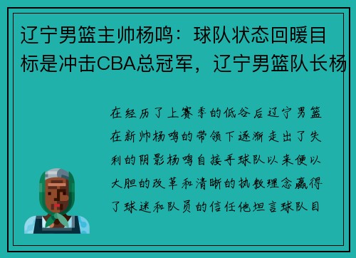 辽宁男篮主帅杨鸣：球队状态回暖目标是冲击CBA总冠军，辽宁男篮队长杨鸣