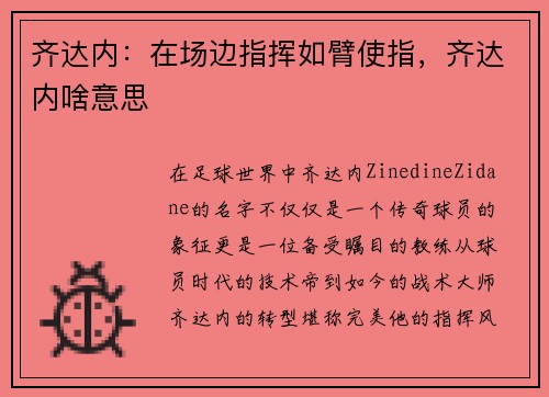 齐达内：在场边指挥如臂使指，齐达内啥意思