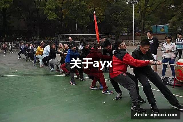 关于ayx